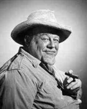 Burl Ives quotes