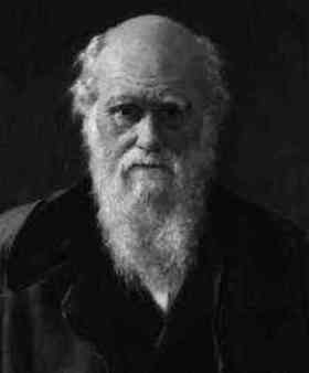 Charles Darwin quotes