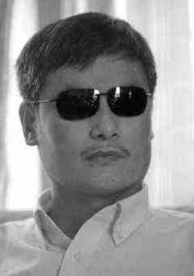 Chen Guangcheng quotes