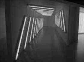 Dan Flavin quotes