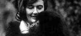 Dian Fossey quotes