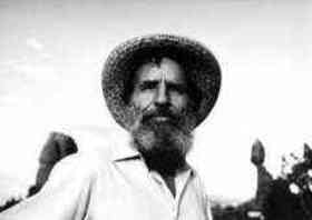 Edward Abbey quotes