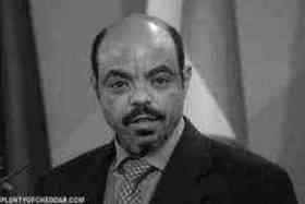 Meles Zenawi quotes