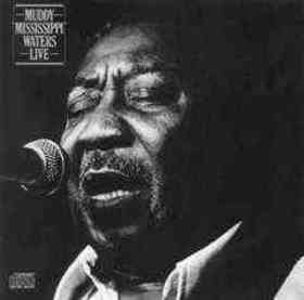 Muddy Waters quotes