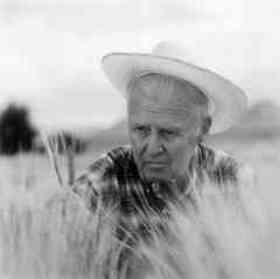 Norman Borlaug quotes